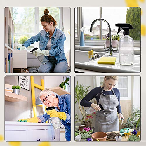 Worldgsb Glass Spray Bottles, 16oz*2+4oz*2+2oz*4 Refillable Containers, Empty Boston Round Bottles with Adjustable Nozzle for Cleaning, Gardening, Aromatherapy, Pets, Plant, Hair - Clear - color: Clear