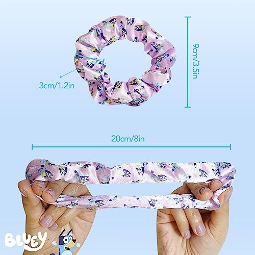 Bluey Hair Accessory 5 Pcs Set - 1 Regular 9 inch Bluey HairBrush For Girls + 4 Bluey Scrunchies For Kids - Accessories For Girls - Detangling Brush - Elastic Hair Ties Ropes Scrunchies Ages 3+ - color: Bluey 5 Piece Hair Accessories