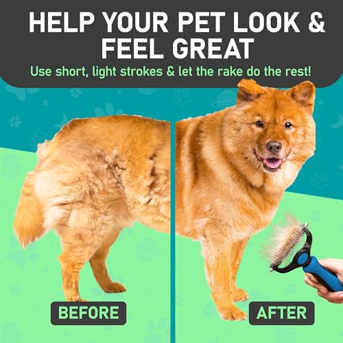 Maxpower Planet Dog Rake and Dog Hair Brush - Gently Removes Loose Undercoat, Mats and Tangled - Deshedding Grooming Tool for Dogs & Cats - Self Cleaning Slicker Brush - All Hair Types - color: A - Rake & Brush (Best Value), size: Large