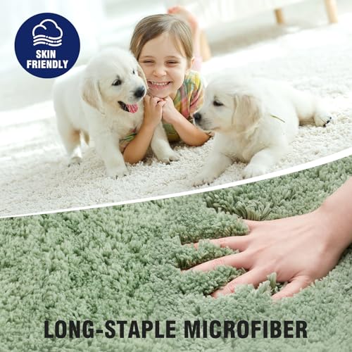 TECHMILLY Super Soft Shaggy Bathroom Rugs Sets 2 Piece, Absorbent Thick Non Slip Microfiber Bath Rugs, Quick Dry Machine Washable Bath Mat for Bathroom Floor, Bathtub and Shower 17"x24" - color: Sage, size: 17'' x 24'' (2 Piece)