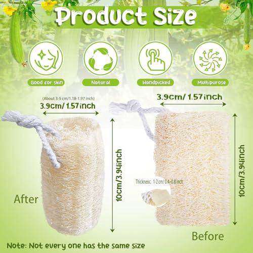 9 Pack 4”Natural Loofah Sponge Small Size Natural Organic Loofah for Kitchen Cleaning Dishes Toddler Exfoliating Skin Care Body Scrubber
