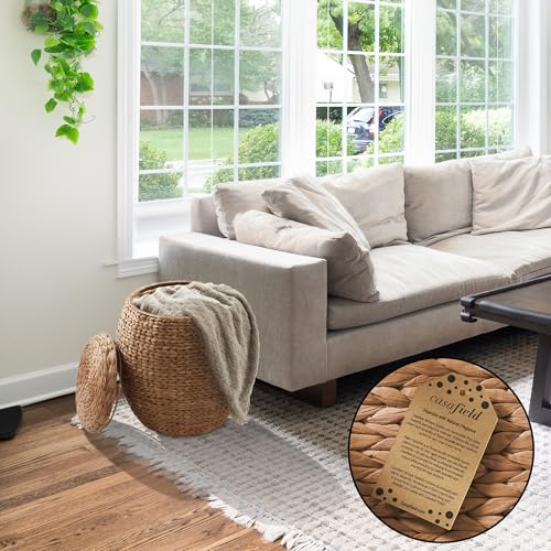 Casafield Round Storage Basket with Lid - Cinnamon, Handwoven Water Hyacinth Organizer for Laundry, Blankets, Plants, Bedroom, Living Room, Office - color: Cinnamon