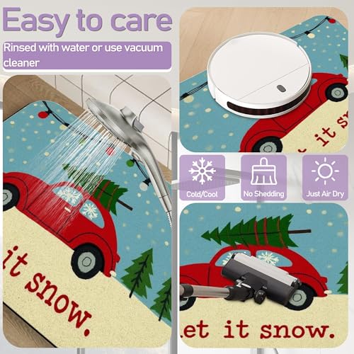 Winter Snow Bathroom Rugs Mat, Super Absorbent Quick Drying Floor Mat for Bathroom Entryway 17"x30" - color: Winter Snow