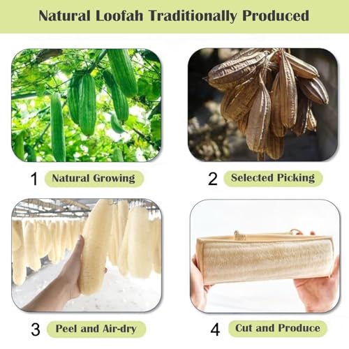 Natural Loofah Back Scrubber for Bath Shower, Deeply Exfoliating | Body Scrubber, Back Scrub Strap for Men and Women, Biodegradable, Bath Sponge to Exfoliate, Invigorate Your Skin