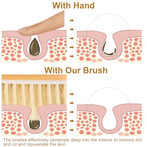 16.5 Inches Back Scrubber for Shower with Curved Long Handle,Wet&Dry Brushing Body Brush,Natural Bristles,Back Scrubber Bath Tool for Men & Women