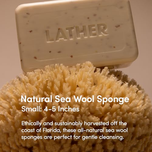 LATHER - Natural Sea Wool Sponge, 4-5" - Organic Exfoliating Body Scrubber - Soft, Gentle Cleansing - Hypoallergenic - All Skin Types - Florida Natural Loofah Sponge - Cruelty Free - Beauty & Skincare - style: Small