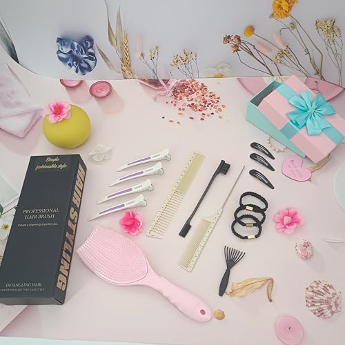 Hair Brush Set, Professional Styling Tools with Combs and Accessories, Pink, Gift Box Included (Pink Brush+Black Brush) - color: Pink Brush+Black Brush