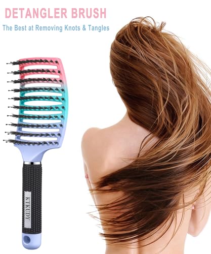 KTKUDY Detangling Brush Boar Bristles Hairbrush Make Hair Shiny & Healthier Curved and Vented Detangler Brush for Women Men Kids Wet & Dry Hair - color: Purple-Green-Pink Gradient