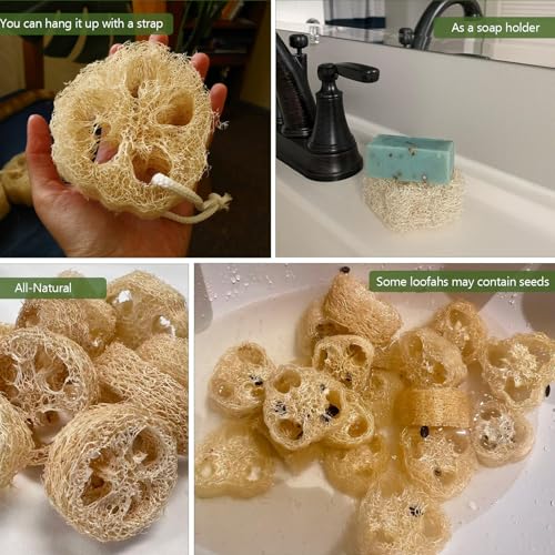 Natural Loofah Sponge for Soap Making, 20 Pack Organic Loofahs Slices Cuts Set, Loofa Exfoliating Body Scrubber, Shower Sponge Luffas for Women and Men - size: 1 Count (Pack of 20)