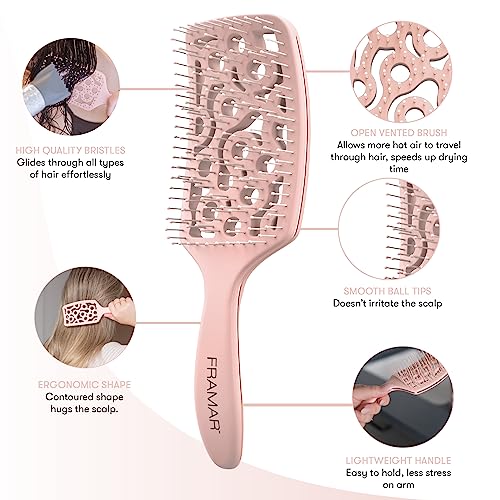 FRAMAR Professional Vented Hair Brush – Curved Hair Brush For Faster Blow Drying, Vent Brush For Blow Drying, Less Breakage, Wet Hairbrush For Women – Heat Resistant - Champagne - color: Champagne