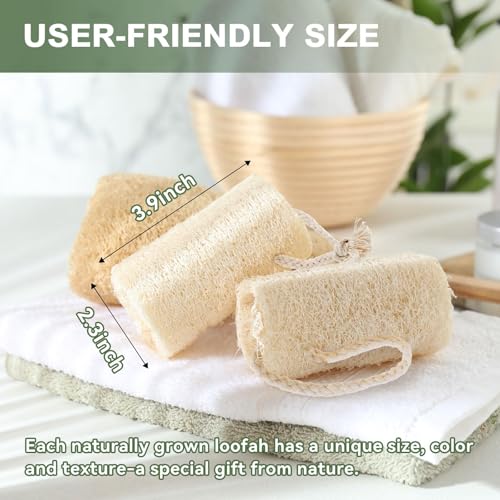 Natural Loofah Sponge Exfoliating Body Scrubbe34212424r Men Women,Reusable Bath Sponge for Shower Face, Back & Body,Eco-Friendly Bath Loofah for Deep Cleansing &Smooth Skin 4Pcs