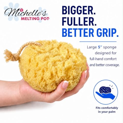 Michelle's Melting Pot Exfoliating Foam Sea Sponge, Natural Feel, Shower Loofah, Bath Sponge, Rich Lather (Set of 3)
