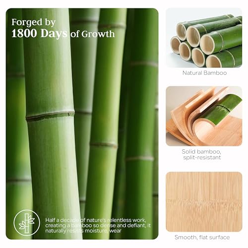 Water Absorbing Stone Tray for Sink, Kitchen Sink Caddy Organizer, Diatomite Bathroom Vanity Counter Tray, Soap Dispenser Sponge Holder, Fast Drying Stone Faucet Mat with Bamboo Tray - color: Dark Gray