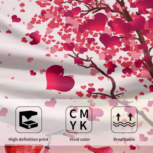 Valentine's Day Hand Towels - Set of 2 Pink Heart 14'x28' Soft Absorbent Guest & Kitchen Towels for Couples & Wedding Anniversary - color: Valentines Pink Bike Heart