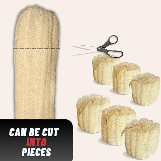 Whole Egyptian Loofah100% Natural Organic Loofah Exfoliating Scrubber for Shower, Natural Loofah Sponge Body Scrubber, for Men and Women (Super Jumbo 26"" - 30""), Cream White - style: Super Jumbo