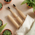 3 Pcs Foldable Horse Bristle Travel Toothbrushes Bamboo Toothbrush Case Holder Kit Soft Bristle Travel Toothbrushes with Reusable Compact Case for Traveling Camping Daily Use