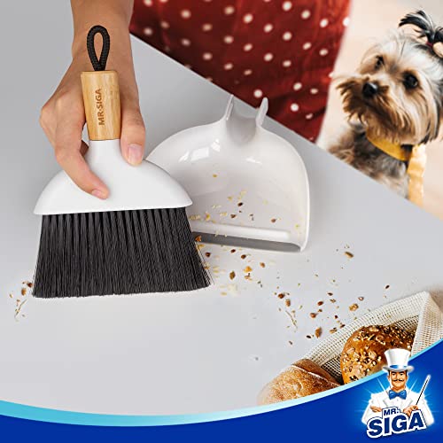 MR.SIGA Mini Dustpan and Brush Set, Portable Cleaning Brush and Dustpan Combo with Bamboo Handle, 1 Set - color: White