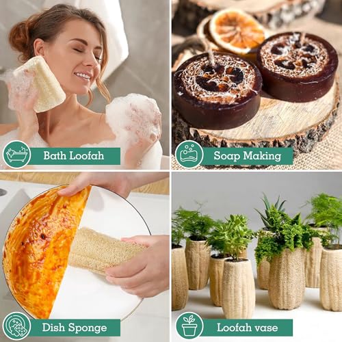 4 Pack Natural Loofah Sponges, METLUCK Organic Luffa Large Exfoliating Body Scrubbers Long Loofa Bath Shower Sponge Bulk for Women Men SPA Bath Kitchen Dishes, 14-17 inch - style: Whole Loofahs
