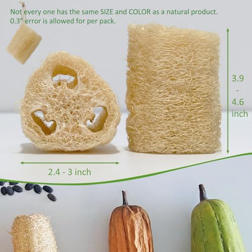 Natural Loofah Sponge, Organic Bath Loofah Pack, Lufas Exfoliating Body Scrubber, Loofas Sponges Shower Loofah for Women and Men, Skin SPA Ecotools- 6 Pack - size: 1 Count (Pack of 6)