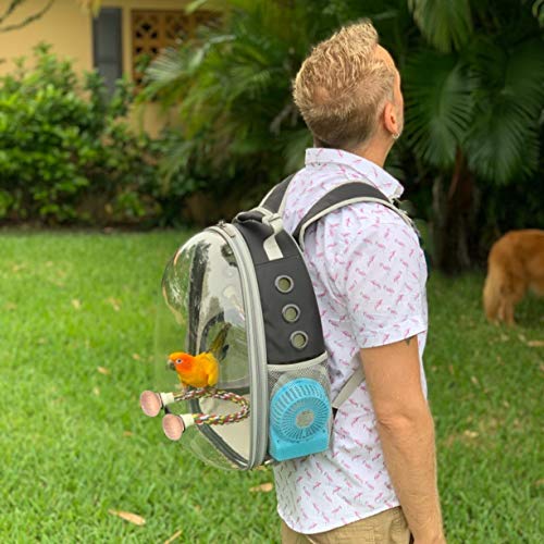 Bird Traval Carrier Cage, Clear Space Capsule Astronaut Backpack to Carry Parakeet Cockatiel Parrot with Metal Tray Wood Perch Bird Feeder, Vet Transport School Bag - color: Yellow