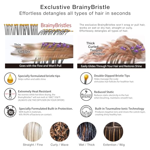 NuWay® DoubleC® Detangling Hair Brush – The Original Home Scalp-Care Brush – Patented Double Curved Scalp Care Hairbrush for Gentle Detangling, Volume Styling & Wet or Dry Hair (Lavender) - color: Lavender