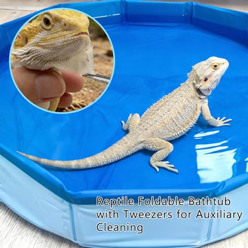 Foldable Bearded Dragon Pool Bathtub, Reptile Bath Pool Bearded Dragon Swimming Pool with Brush Gloves Reptile Accessories Swimming Pool for Turtle Lizard Small Pets - size: Reptile Pool