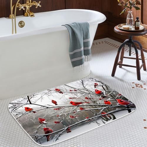 Sea Turtles Nautical Blue Ocean Beach Animals Bath Rugs Non Slip Shower Mat Bathroom Decor Door Rug (16x24 inches, Cardinal Birds) - color: Multi Color 2, size: 2' x 1'4" (Rectangular)