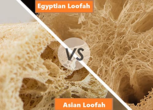 Whole Egyptian Jumbo Loofah 24"" - 28"" 100% Natural Organic Loofah Exfoliating Scrubber for Shower, Natural Loofah Sponge Body Scrubber, for Men and Women, Cream White - style: Jumbo