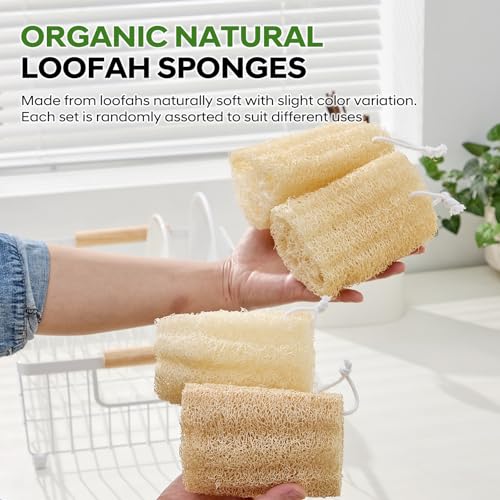 Natural Loofah Sponge 4 Pack, Organic Luffa Sponges Body Scrubber, Exfoliating Loofah Scrubber for Shower, Eco-Friendly Biodegradable Bath Loofahs for Men & Women - size: 1 Count (Pack of 4)