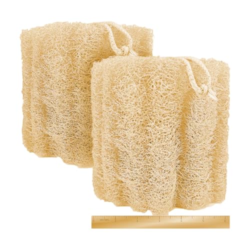 2 Pack HungkaTurn Natural Egyptian Loofah Body Scrubber, 100% Organic Luffa Exfoliating Sponge for Men&Women, Gentle Skin Cleansing Shower Scrubber for Radiant Smooth Skin, Large Spa-Grade Body Loofa. - color: Beige Body Scrubber, size: 1 Count (Pack of 2