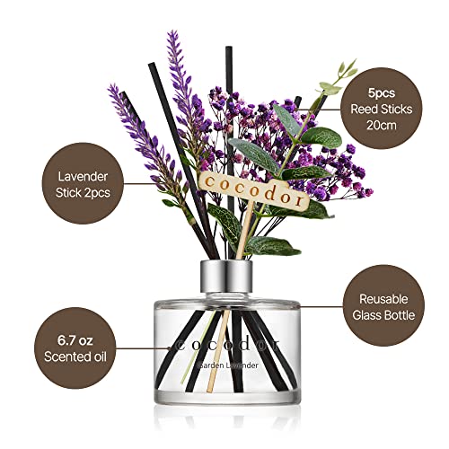 COCODOR Lavender Reed Diffuser/Garden Lavender / 6.7oz(200ml) / 1 Pack/Home Decor & Office Decor, Fragrance and Gifts - size: Lavender/6.7Ounce/1 Pack