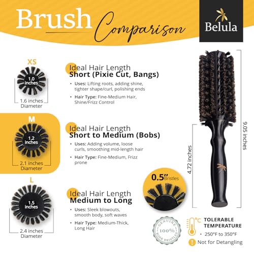 Belula 100% Soft Boar Bristle Round Brush for Blow Drying Set. Round Hair Brush With Medium 2.1” Wooden Barrel. Hairbrush Ideal to Add Volume and Body. Free 3 x Hair Clips & Travel Bag. - color: Medium Barrel 2.1"