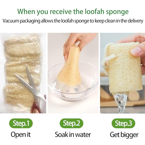 Natural Loofah Sponge, Organic Bath Loofah Pack, Lufas Exfoliating Body Scrubber, Loofas Sponges Shower Loofah for Women and Men, Skin SPA Ecotools- 6 Pack - size: 1 Count (Pack of 6)
