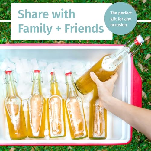 Otis Classic Clear Swing Top Glass Bottles, Plastic Caps, Set of 6, 16oz | Marker & Labels Included, Plastic Cap BPA Free, For Juice, Water, Kombucha, Wine, Beer Brewing, Kefir Milk, Eggnog - color: 1. Clear - Plastic Lids