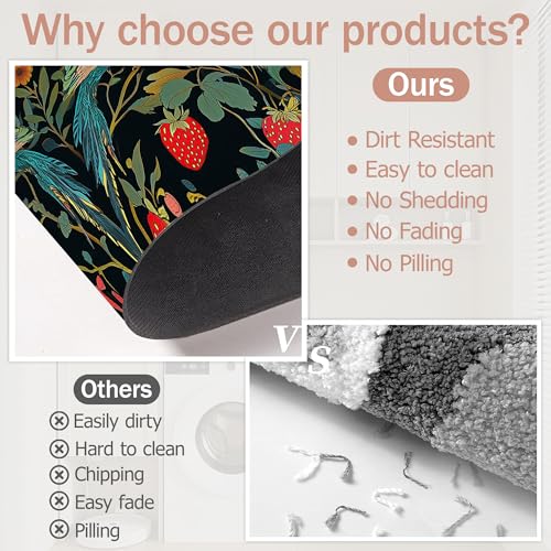 Bath Mat,Strawberry Bird Bathroom Rugs,Quick-Drying Non-Slip Rubber Bath Mats Flower Leaf Absorbent Diatomaceous Earth Mat for Bathroom Home Decor 17"x29.5" - color: Strawberry Bird,flower Leaf