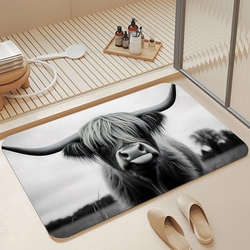 Highland Cow Bathroom Rugs, Non Slip Quick Dry Rustic Farmhouse Bath Mats for Bathroom, Super Absorbent Diatomaceous Bathmat for Home Kitchen Thin Floor Doormat 17 X 29.5 Inch - color: Highland Cow