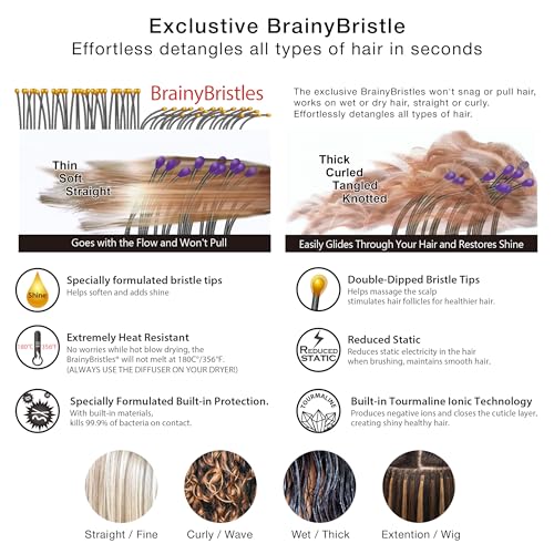 NuWay® DoubleC® Pro Professional Detangling Hair Brush – Patented Double Curve Scalp Care Brush for Gentle Detangling, Blow-Dry Styling & Wet or Dry Hair (Hyacinth) - color: Hyacinth