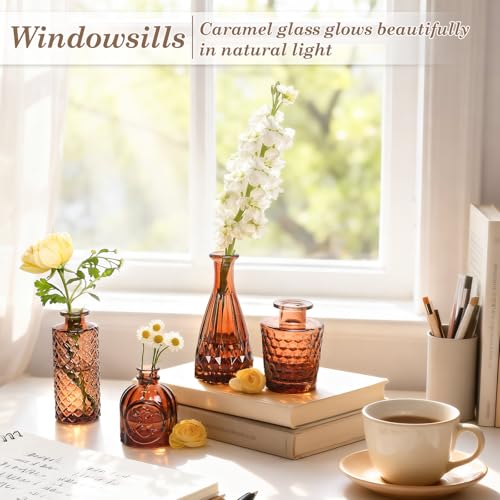 TBWIND 12-Piece Glass Bud Vase Set – Small Caramel Coffee Brown Etched Glass Vases with Unique Shapes and Weighted Base for Windowsills, Bathrooms, and Table Centerpiece Décor - color: Brown-12pcs, size: 12Pcs