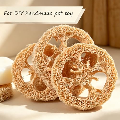 Natural Loofah Slices Cuts for Soap Making-20 Pack Organic Luffa Loofa Sponges for Soap Holder Handmade DIY Loofa Pet Toy Loofahs - color: 20-pack Slices