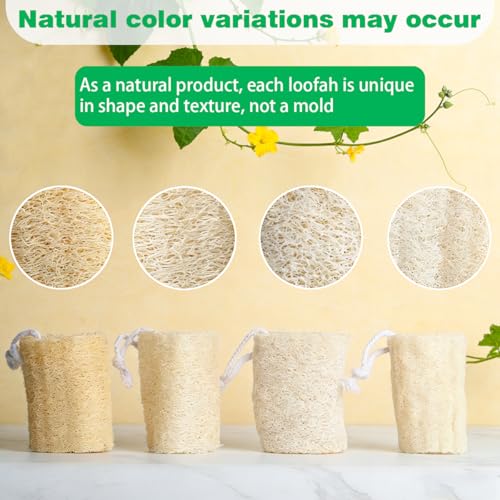 pisdoplop Natural Loofah Exfoliating Body Sponge Scrubber, 4 inch-Long Organic Loofa Luffa Plant-Based for Men & Women Skin Care Bath Shower Cleaning, Natural Sponges for Dishes - style: Natural Loofah