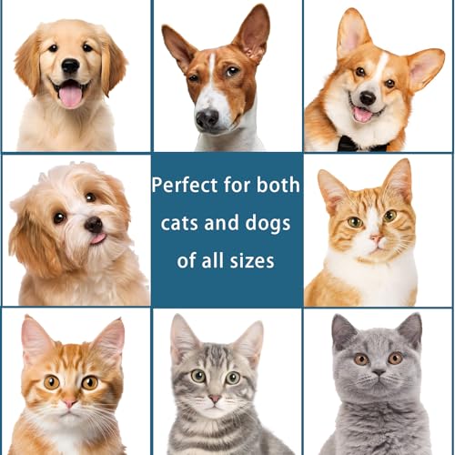 Pet Steam Brush for Dog & Cat – 3-in-1 Spray Hair Removal for Grooming, Softens Fur & Reduces Static 1*Shampoo(Steam Brush not Included) - size: 7.8″-200ML