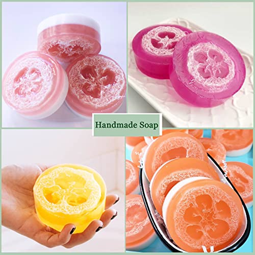 Natural Loofah Sponge for Soap Making, 20 Pack Organic Loofahs Slices Cuts Set, Loofa Exfoliating Body Scrubber, Shower Sponge Luffas for Women and Men - size: 1 Count (Pack of 20)
