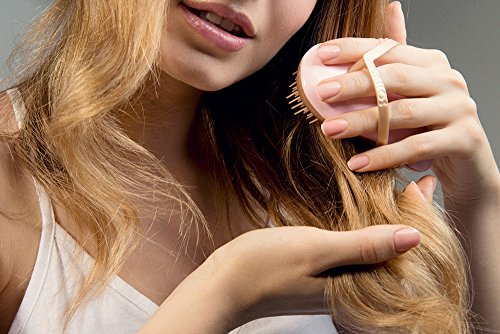 B129 Shower Head Brush/Exfoliator Shampoo Brush/Head Massager Scalp Stress Relax Shower Brush/Scalp Scrub Hair Brush Massager/Hair Massager for Hair Growth/Scalp Dandruff Brush Small Hair - color: Purple Cotton