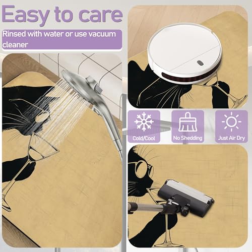 Black Cat Bathroom Rugs, Fast-Absorbing Bath Mat, Quick-Dry Non-Slip Thin Rug for Bathroom Floor Kitchen 17"x30" - color: Black Cat