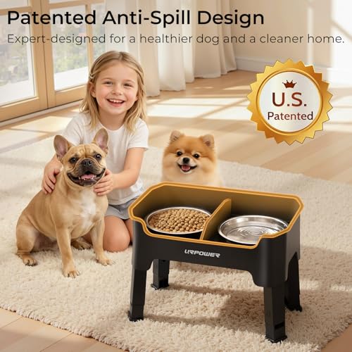 URPOWER Mess Proof Elevated Dog Bowls, High Wall Splash Guard Design, 4 Height Adjustable Raised Bowl Stand, 2 Stainless Steel Bowls, Non-Slip Food Water Set for Small Dogs - color: Black, size: Small