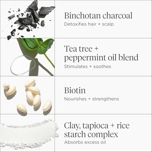 Briogeo Scalp Revival Scalp Care Essentials Set | Detox & Hydrate Your Scalp with Charcoal- + Tea Tree-Infused Treatments | Vegan & Cruelty Free