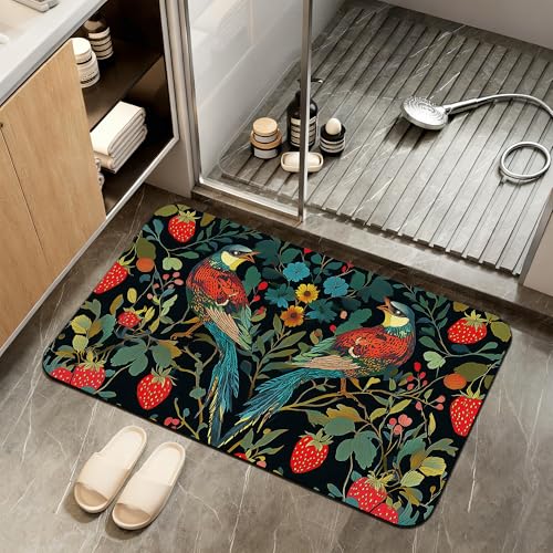 Bath Mat,Strawberry Bird Bathroom Rugs,Quick-Drying Non-Slip Rubber Bath Mats Flower Leaf Absorbent Diatomaceous Earth Mat for Bathroom Home Decor 17"x29.5" - color: Strawberry Bird,flower Leaf