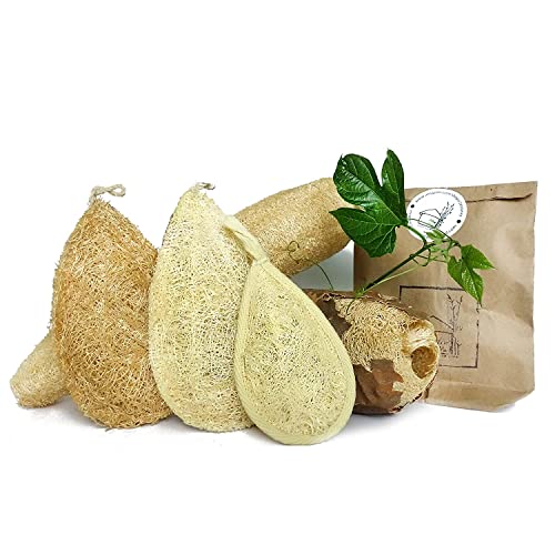 Natural Loofah Dish Sponge (Pack 10) - Vegetable Scrubber for Kitchen - 100% Biodegradable Compostable Dishwashing Scouring Pad, Zero Waste Plastic Free Eco Friendly Sustainable - size: Pack 10