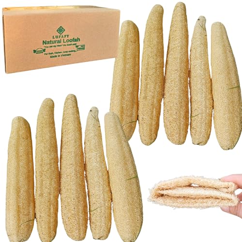 10 Pcs (7 – 10 Inches) Natural Loofah Sponge | Organic Loofah | Shower Loofah Exfoliating Body Scrubber | Bath for Loofah for Men and Women | (10 - Pack) - size: 7.1 – 10 Inch