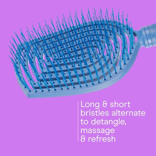 Conair Scalp Care Detangling hairbrush - Curly Hair Brush - Scalp Massager - hairbrushes for women & men - detangler for all lengths and types - can use wet or dry - Blue Aura - color: Blue Aura, size: 1 Count (Pack of 1)
